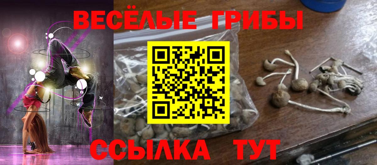 Псилоцибиновые грибы MAGIC MUSHROOMS Спасск-Дальний