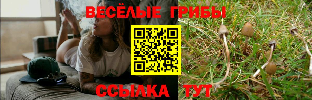 Псилоцибиновые грибы Psilocybine cubensis  Псилоцибиновые грибы MAGIC MUSHROOMS  Спасск-Дальний  Вход с VPN 